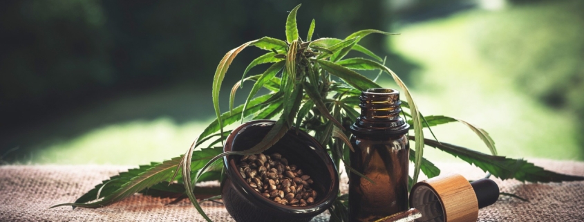 CBD oil, hemp seeds, and hemp plant